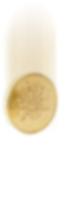 assets/img/c1.png