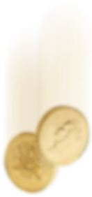 assets/img/c2.png