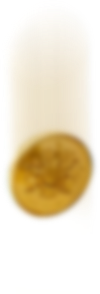 assets/img/c6.png