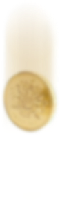 assets/img/c7.png