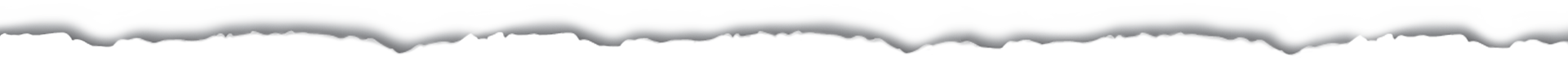 assets/img/rn.png