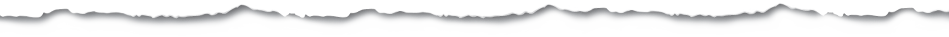 assets/img/rw.png